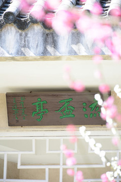 梅花
