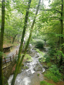 山溪