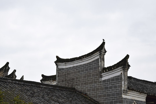 老學(xué)校