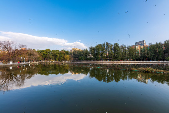 昆明翠湖公園風景