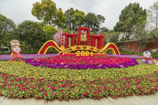 花卉造型
