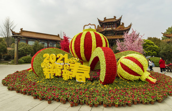 花卉造型