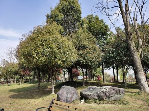 公園綠化