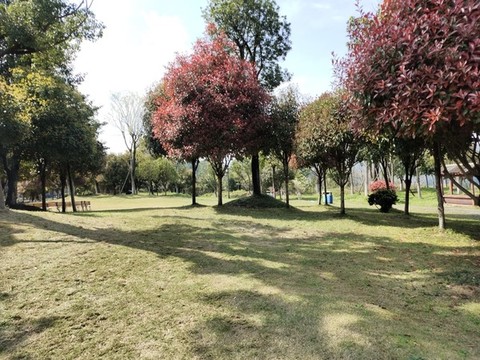公園綠化