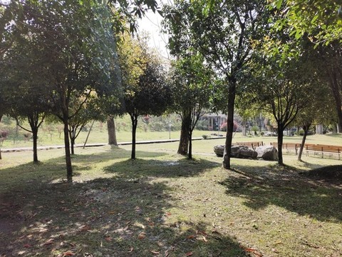 園林景觀