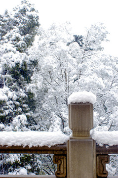 白雪皚皚
