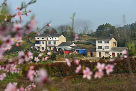 美麗桃園
