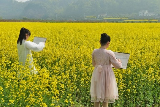 小學生在油菜花地寫真