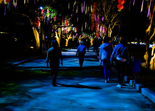 公園夜景