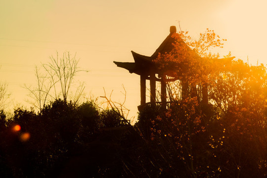 夕陽西下