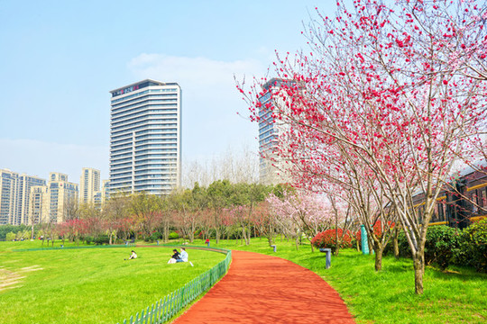 南京江寧秣周東路悠湖公園