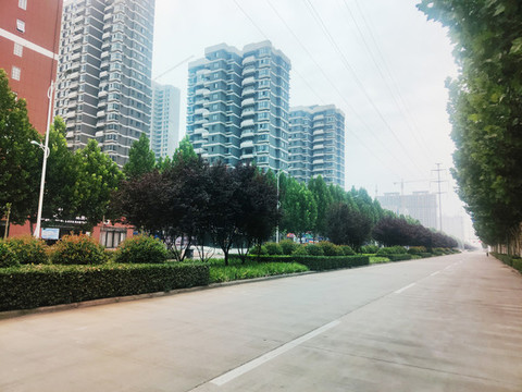 隔離綠化帶