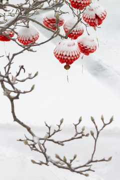 蓋著雪被的紅燈籠