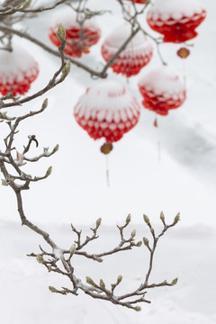 蓋著雪被的紅燈籠