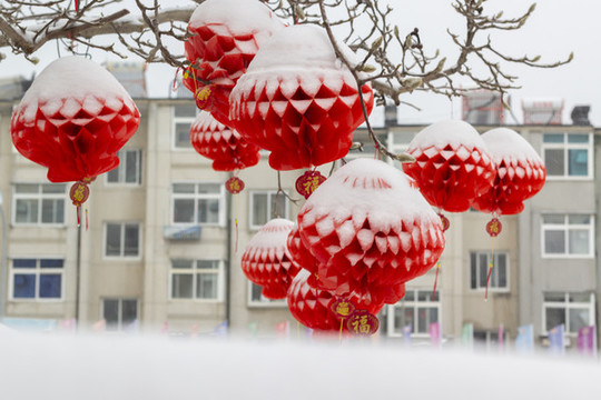 蓋著雪被的紅燈籠