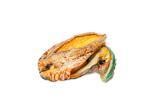 鮑魚