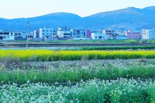 春天的農(nóng)村