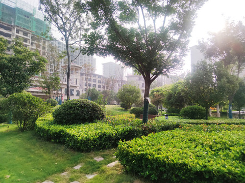 小區(qū)綠化展示