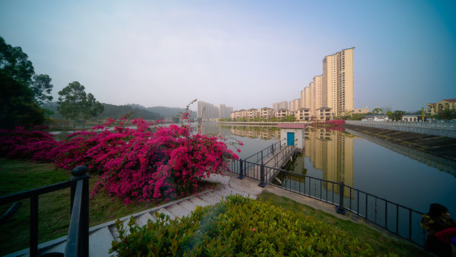 陽(yáng)西東湖