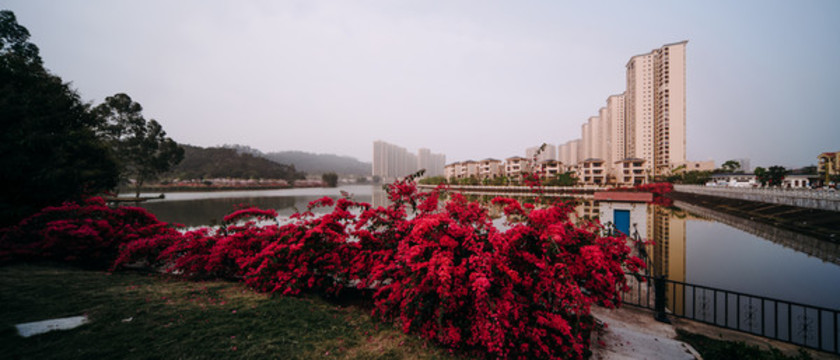 東湖公園