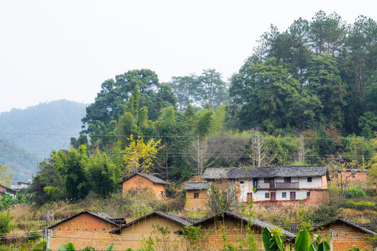 山村