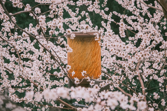 北京北海公園