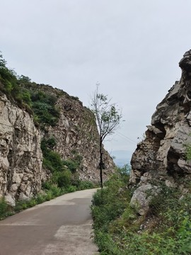 山中水泥路