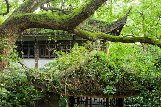 俞曲園紀(jì)念館