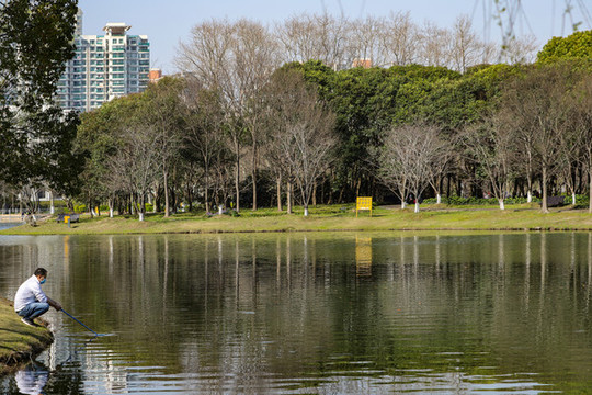 城市公園