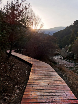 天龍山山間小路