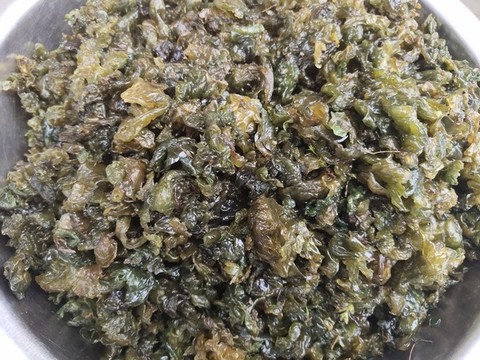 新鮮地皮菜