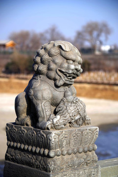 盧溝橋的獅子數(shù)不清