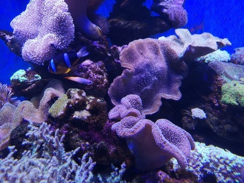 海底世界