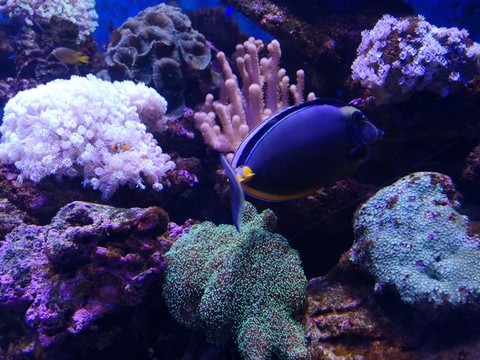 海底世界