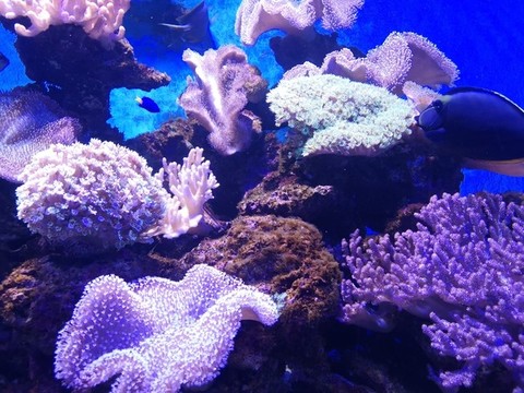 海底世界