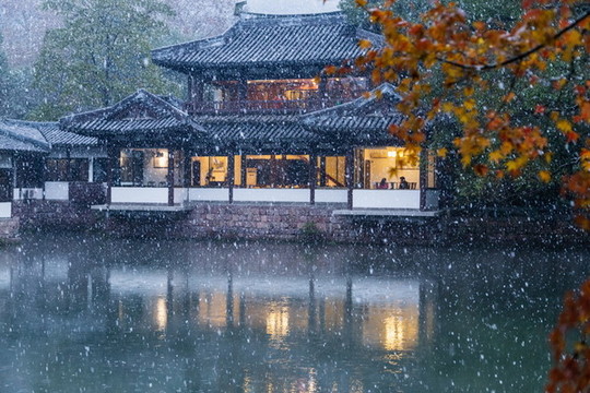 曲院風(fēng)荷雪韻