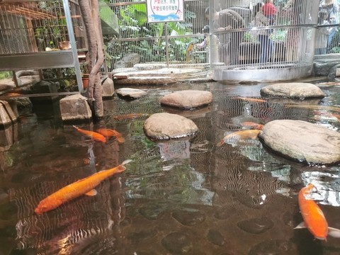魚塘