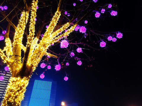 樹(shù)木彩燈