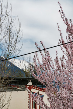 中國(guó)四川西部阿壩州高原自然風(fēng)光
