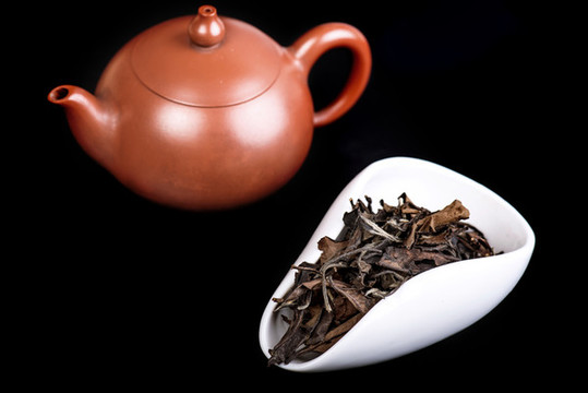 福鼎老白茶
