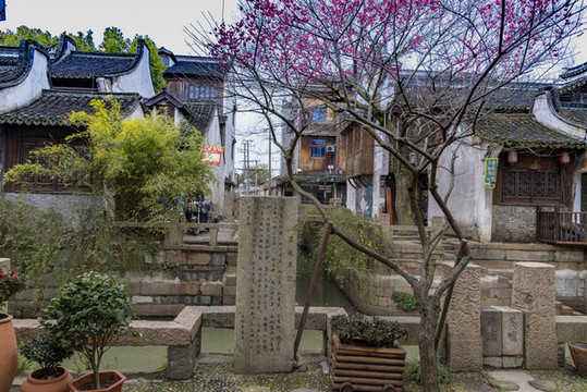 上海楓涇古鎮(zhèn)