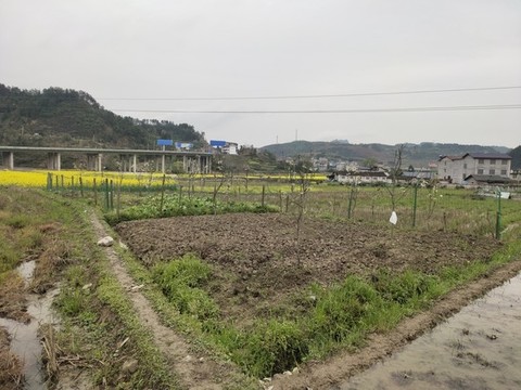 鄉(xiāng)村田園風光
