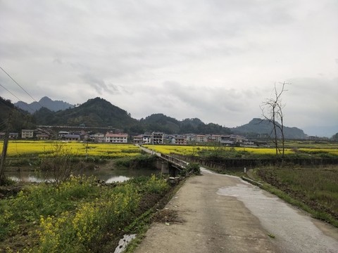 農(nóng)村田園風(fēng)光