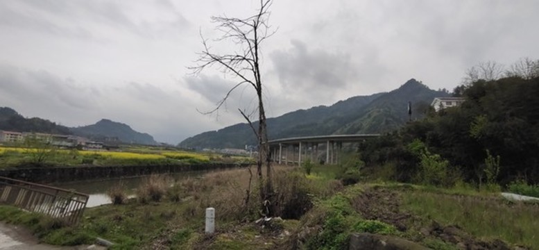 田園風光