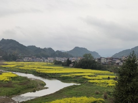 新農(nóng)村田園風(fēng)光