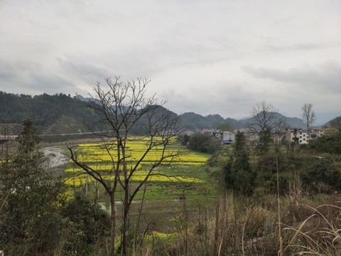 鄉(xiāng)村田園風光