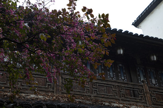 古建筑花園