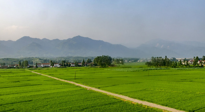 漢中米糧川