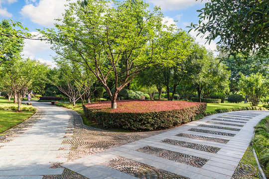 公園小路