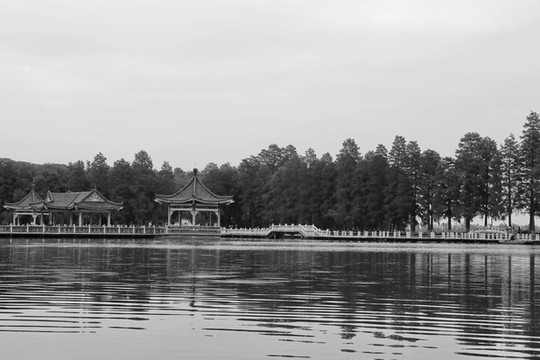 東湖碧潭觀魚景色